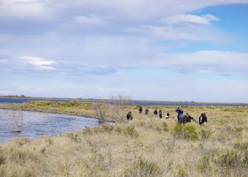 Interesante avistaje de aves en la Reserva Natural Laguna Las Salinas