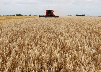 La Federación Agraria contra la rebaja de retenciones: “No genera certeza ni beneficia al campo chico”