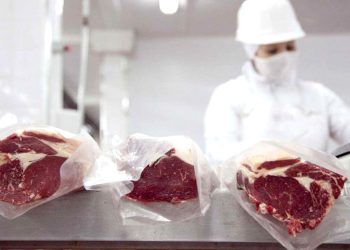 Los exportadores de carne buscan oportunidades en un mercado global volátil