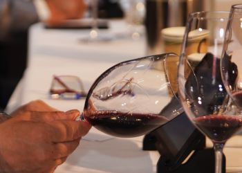 Cinco bodegas sanrafaelinas premiadas con medallas de oro en el concurso Vinus