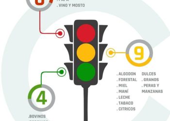Las economías regionales en rojo: el vino y el mosto entre las actividades más golpeadas
