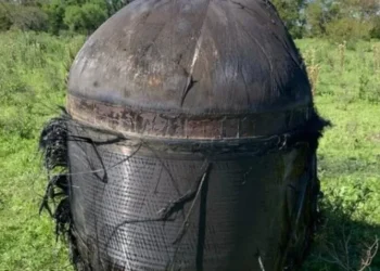 Misterio en un campo argentino por un extraño y enorme objeto que cayó del cielo: ¿Qué es?