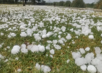 Una fuerte tormenta de granizo devastó cultivos de ajo y vid en Valle de Uco
