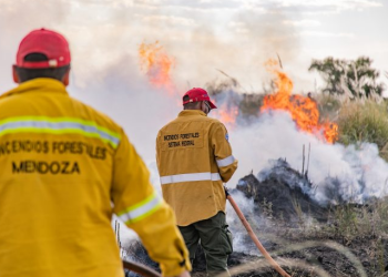 Más de 3500 hectáreas consumidas por incendios forestales en Los Parlamentos