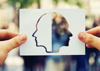 Talleres sobre inteligencia emocional para estudiantes y profesionales en San Rafael