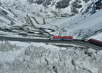 Uno de cada cinco turistas que ingresó a Chile lo hizo por el paso Cristo Redentor
