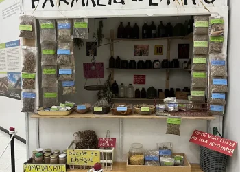 Promueven el conocimiento y el uso de la “flora medicinal” de la región