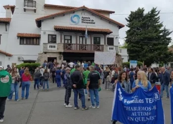 Tensión en la ANDIS: familiares ingresaron al edificio