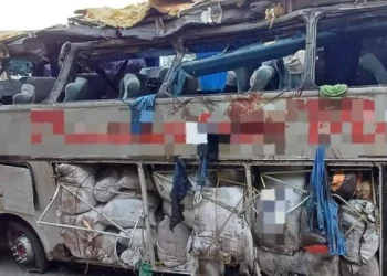 Causó 17 muertos en Brasil el accidente de un ómnibus