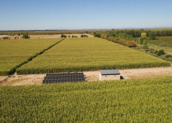 San Rafael se capacita para seguir creciendo en producción forrajera