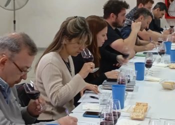 22 enólogos, 8 muestras de vino y un camino hacia los microterroirs de San Rafael