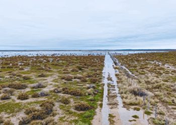 El Atuel sigue erogando agua hacia La Pampa y Mendoza presentará los registros ante la Corte Suprema