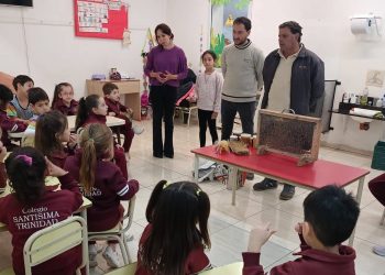 APISUR cumple 39 años y celebra concientizando sobre la importancia de las abejas y la miel