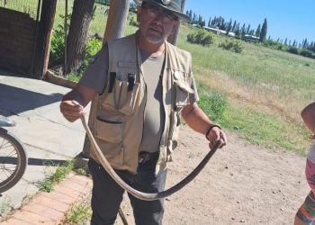 Encontraron una serpiente en una caja de juguetes en Rama Caída