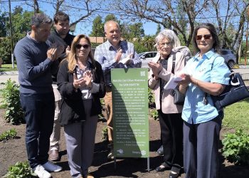 Rotary impulsa la llegada a San Rafael de un retoño del olivo plantado por San Martín en su casa de Mendoza