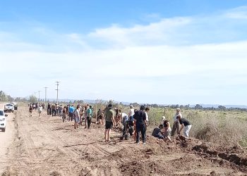 Gran tarea de forestación en Cuadro Nacional, San Rafael