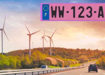 Habrá un país que tendrá patentes en color rosa a partir de 2026: Por qué