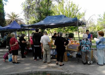 Feria Franca Municipal: “Siempre defendemos el producto autóctono”