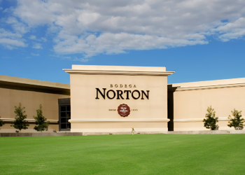 Crisis en la Bodega Norton: cheques sin fondos y alerta por despidos