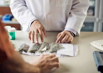 Jornada sobre cannabis medicinal se realizará con especialistas nacionales