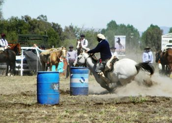 El domingo: 14ªedición del regional departamental de Juegos y Destrezas Criollas