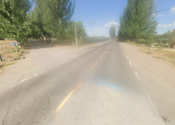 Tragedia en Valle de Uco: una mujer de 30 años murió tras un vuelco