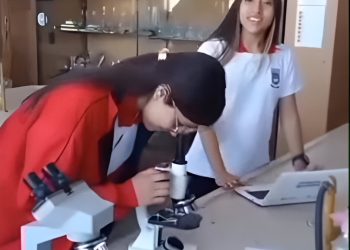 Estudiantes de San Rafael viajarán a Chile para participar en una feria científica internacional