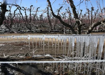 Otra mañana helada: el termómetro marcó hasta -3,8 en el este de San Rafael