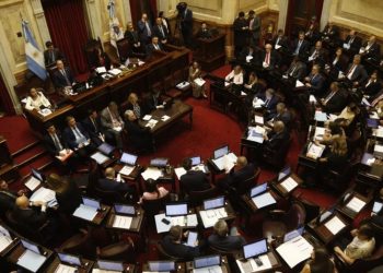 El Senado rechazó los vetos al financiamiento del Garrahan y las universidades