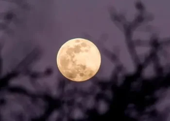 Dos superlunas seguidas iluminarán el cielo: cuándo y cómo verlas