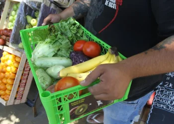 Cuánto necesitó una familia mendocina para no ser considerada pobre o indigente en octubre