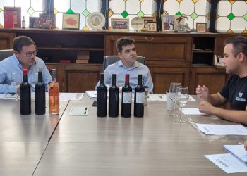Tres bodegas sanrafaelinas buscarán exportar a Brasil, Colombia, México, Paraguay, Perú y Uruguay