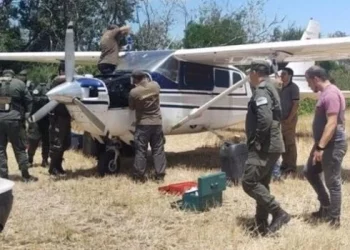 Encuentran otra avioneta narco abandonada en Santa Fe: perros detectaron rastros de cocaína