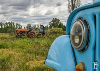 El Club IKA avanza en el sueño de la sede propia: riego, arbolado y trabajo a pulmón