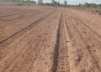 Productores de Los Claveles trabajan en un predio propio para eventos y reproducción de plantas nativas