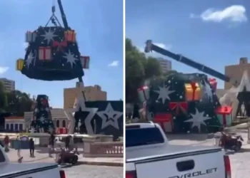 Tragedia navideña: un hombre murió por la caída de una grúa mientras armaban un árbol para las fiestas