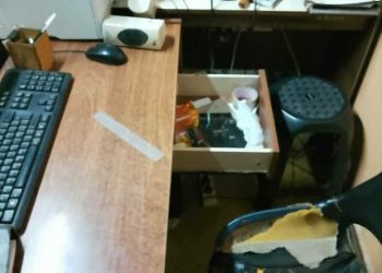 Indignación en El Chañaral: robaron herramientas e insumos de la Subdelegación Municipal