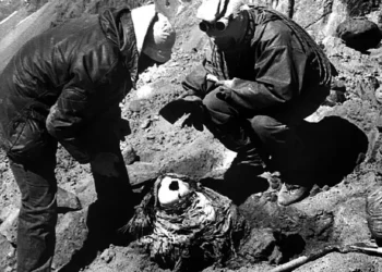 A 40 años de su hallazgo, la momia del Aconcagua emprende camino de regreso hacia la montaña