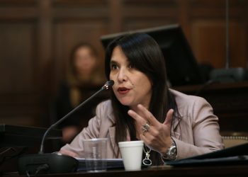 Proyecto clave en el Senado provincial:  buscan prohibir que personas condenadas por delitos sexuales trabajen con niños