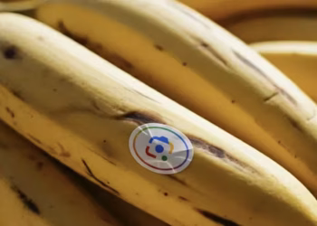 Nano Banana, el creador de imágenes con IA que llegó a Google Chrome: cómo funciona la herramienta que promete cambiarlo todo