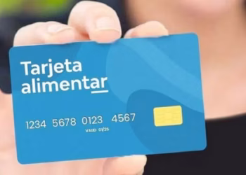 Tarjeta Alimentar de ANSES: los montos actualizados para diciembre 2025 por cantidad de hijos