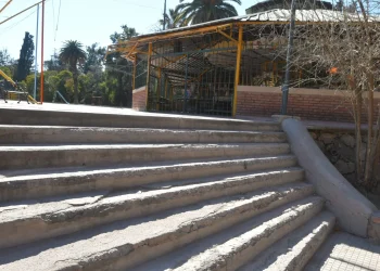 El destino que tendrá la histórica calesita del Parque General San Martín