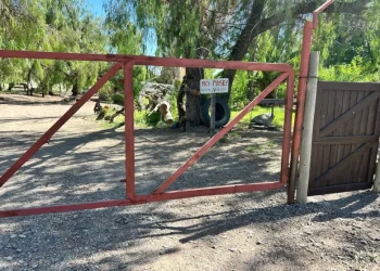 La historia de los terrenos usurpados en el Parque San Martín y de las 5 familias que los ocupan