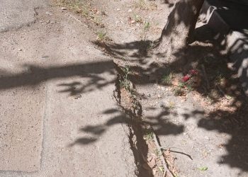 Reclamo vecinal por el deterioro del Pasaje Bufano y una zanja abierta desde hace 9 años