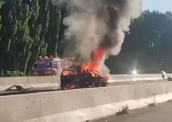 Tragedia en la Ruta 22: quiénes son las víctimas del accidente fatal que conmocionó a Río Negro