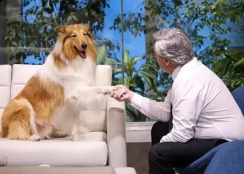 Murió Dylan, el perro del expresidente Alberto Fernández: «Ahora correrás en algún paraíso en el que, seguramente, volveremos a encontrarnos»