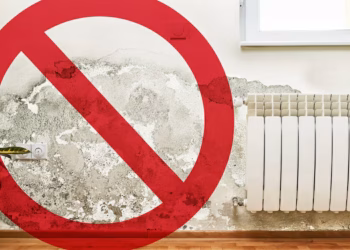 Adiós a la humedad y filtraciones en las paredes: el invento que es tendencia este 2025