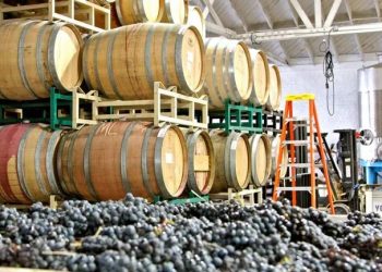 La Cámara se expresó: fuerte tensión del sector vitivinícola por reformas nacionales que perjudican a la actividad