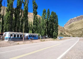 Paso Pehuenche: se renuevan los reclamos para habilitar cargas y mejorar la infraestructura aduanera