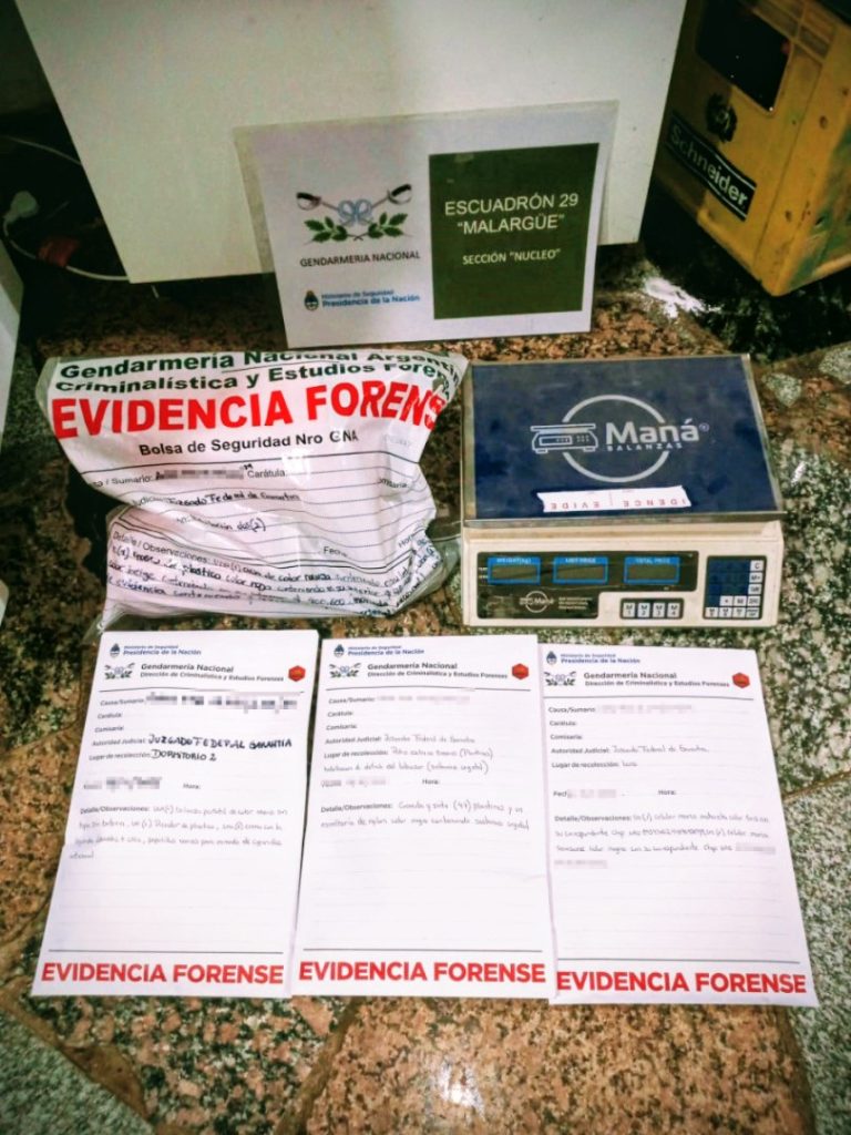 Allanaron a mujeres que tenían 47 plantines de marihuana en Malargüe - Image 2